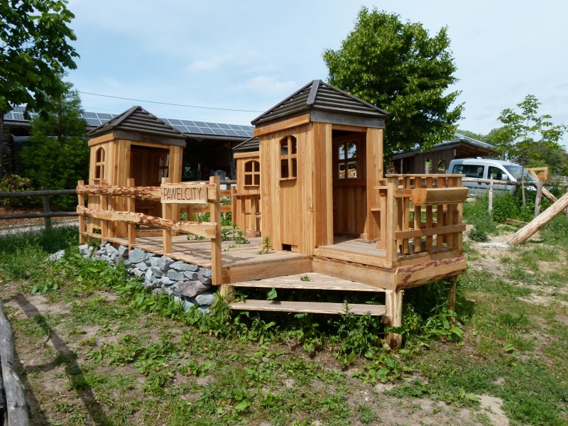 P1010188.jpg