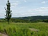 P1010186.jpg
