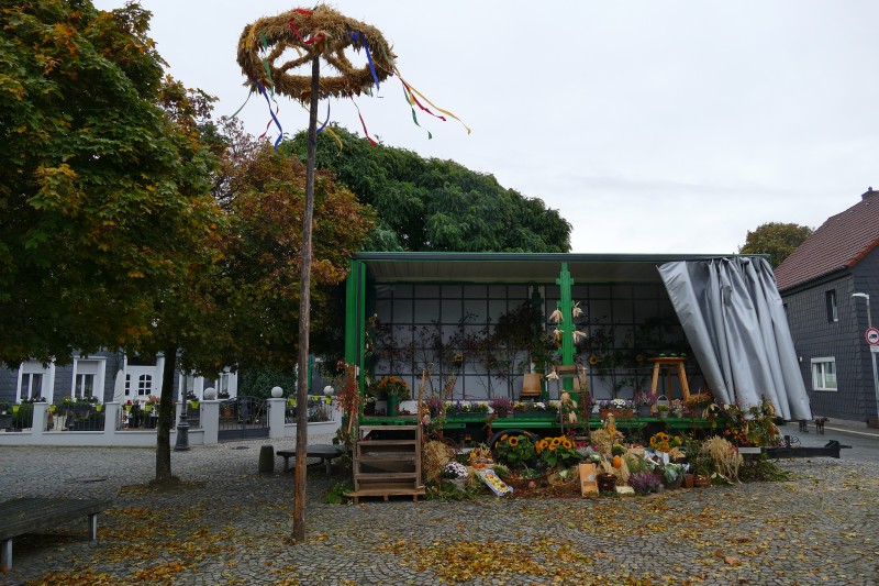P1250283.jpg