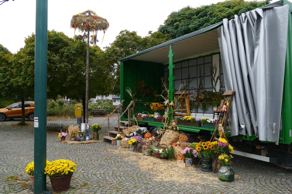 P1270145.jpg