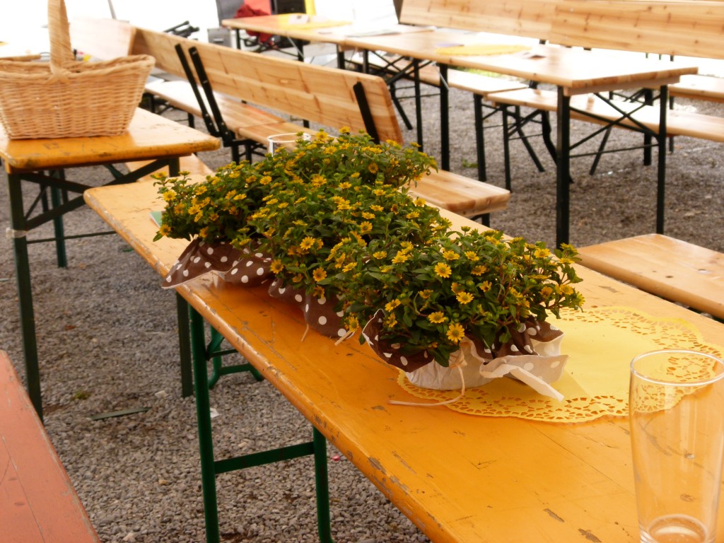 P1030767.jpg