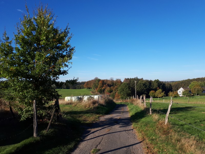 20181014_102616.jpg
