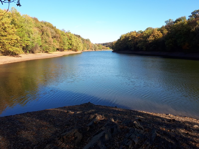 20181014_105411.jpg
