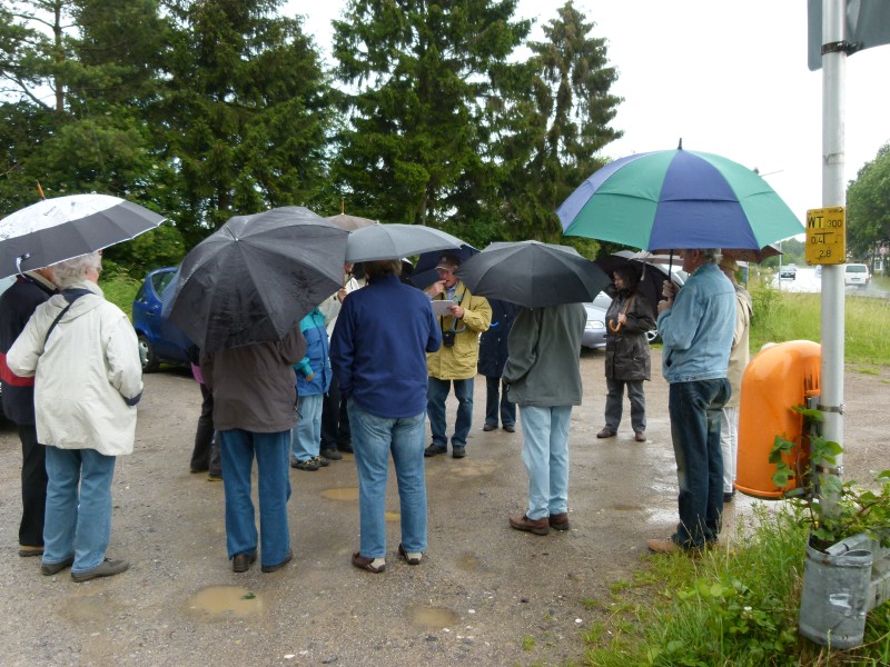 P1010445.jpg