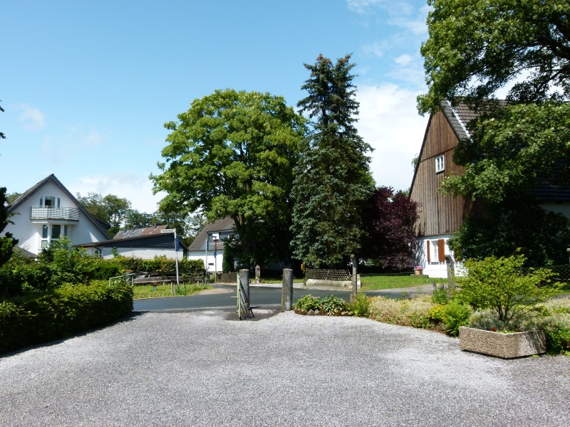 P1010452.jpg