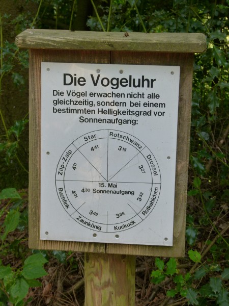 P1010455.jpg