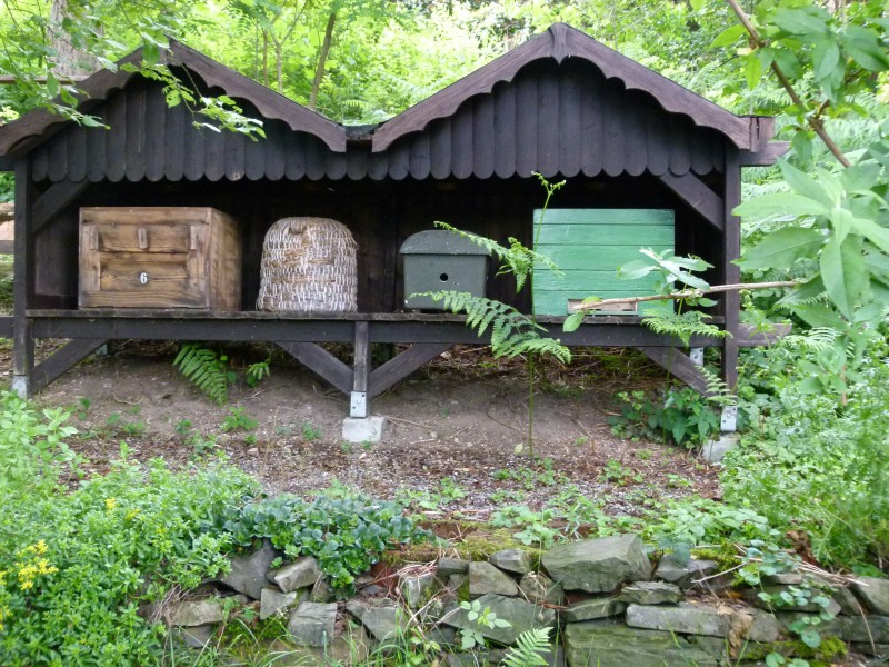 P1010457.jpg