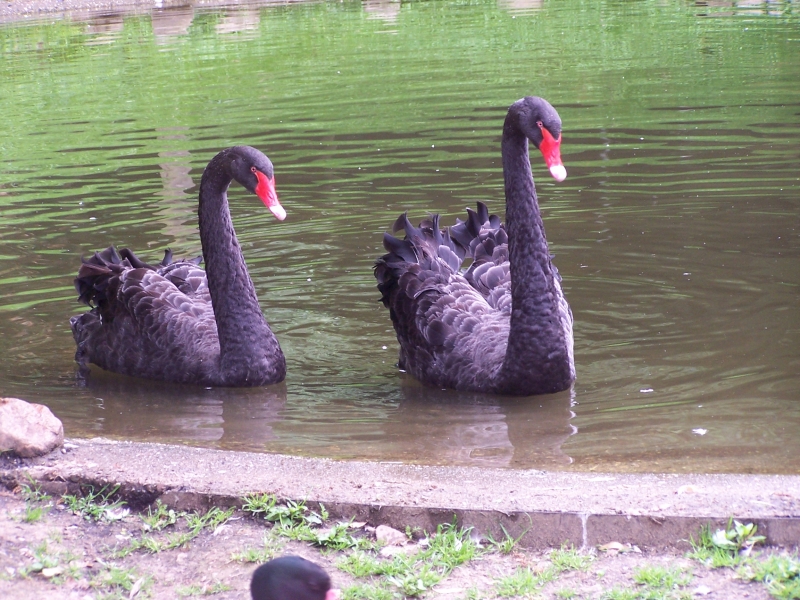 100_8277.jpg