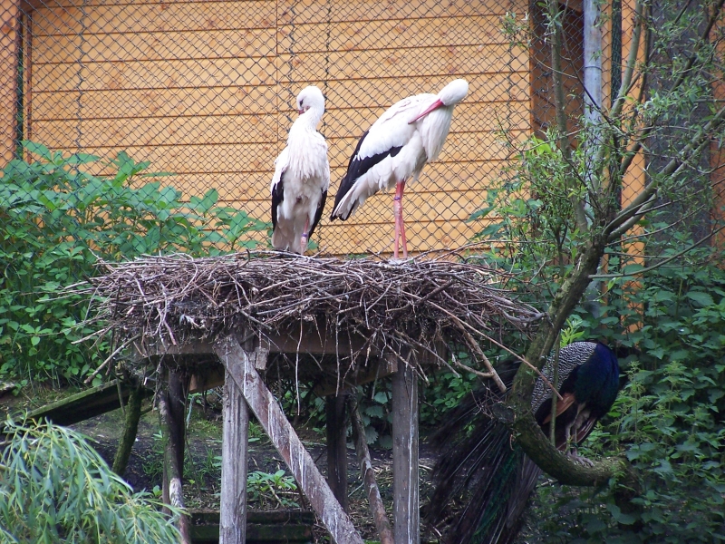 100_8279.jpg
