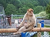 100_8269.jpg 100_8269.jpg