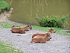 100_8275.jpg 100_8275.jpg
