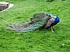 100_8278.jpg 100_8278.jpg