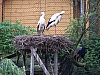 100_8279.jpg 100_8279.jpg