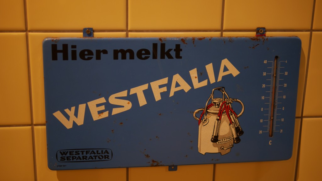 P1000711.jpg