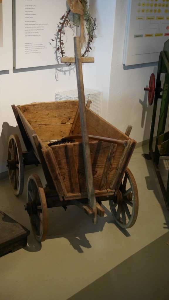 P1000737.jpg