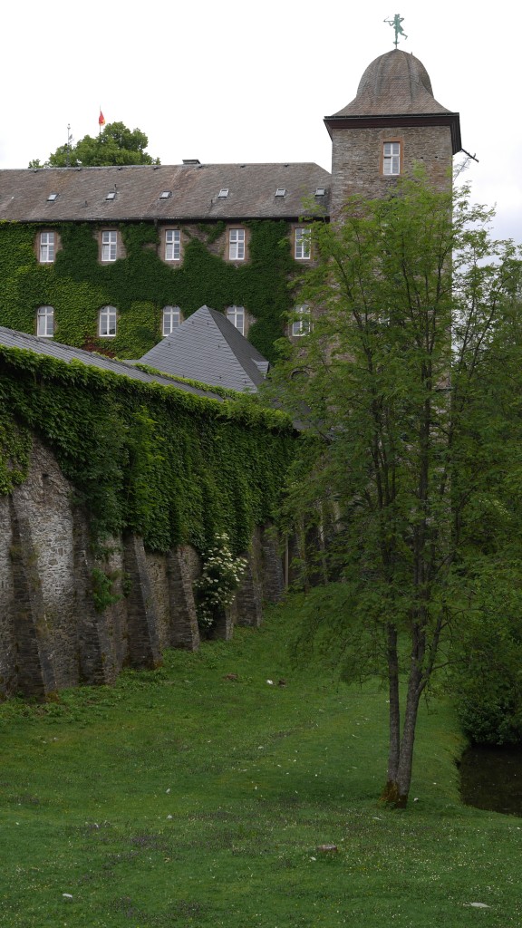 P1000777.jpg