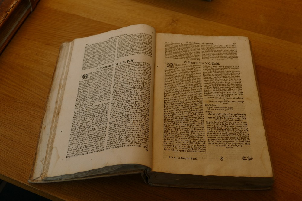 P1260549.jpg