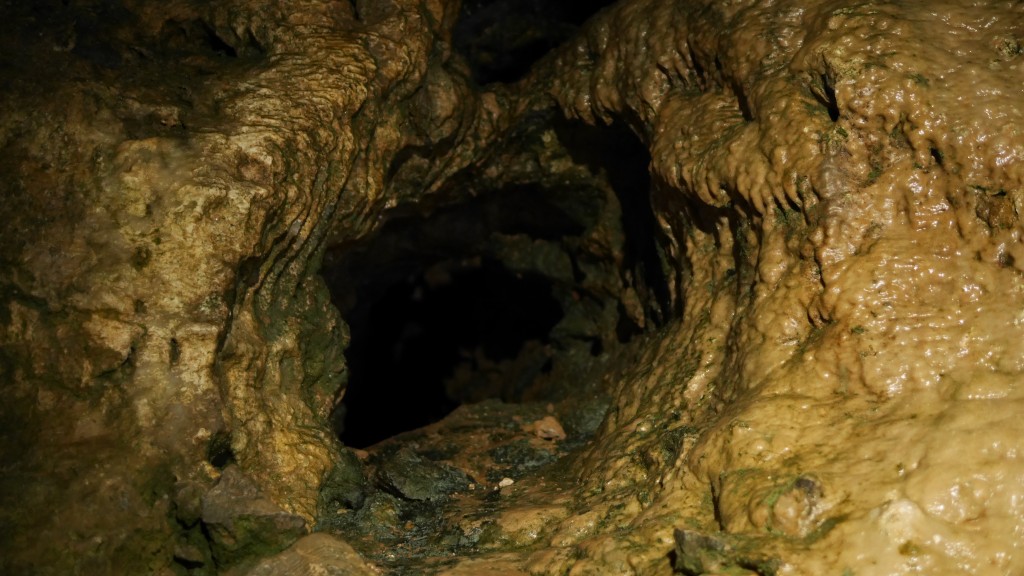 P1000236.jpg