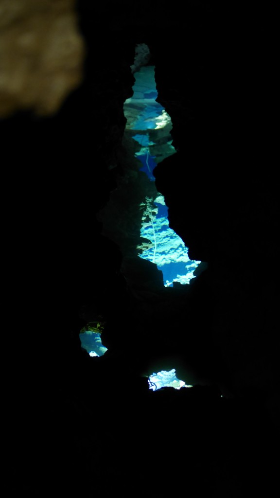 P1000254.jpg