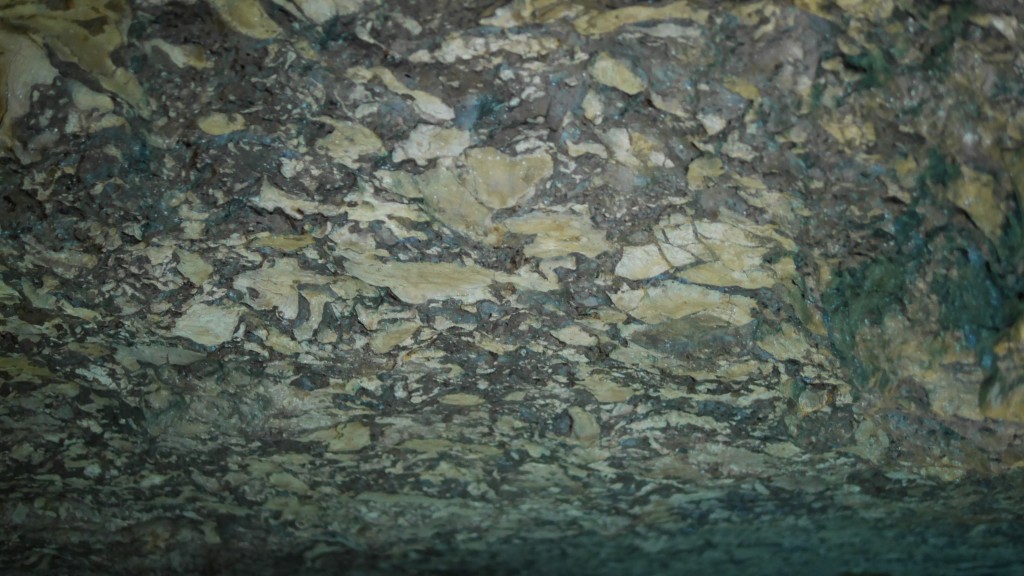 P1000257.jpg