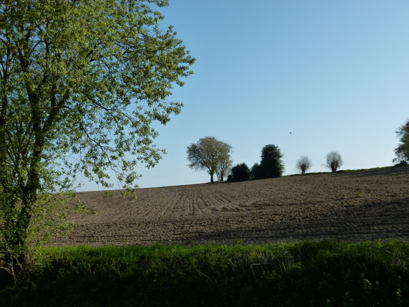 P1000471.jpg