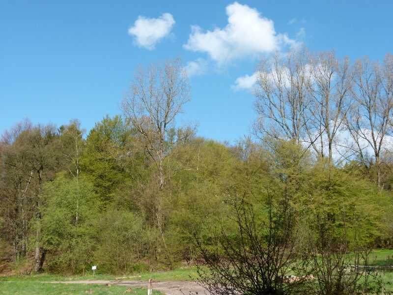 P1000480.jpg