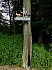DSCI0025Brauck.jpg DSCI0025Brauck.jpg