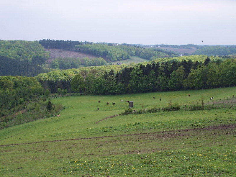 100_8175.jpg