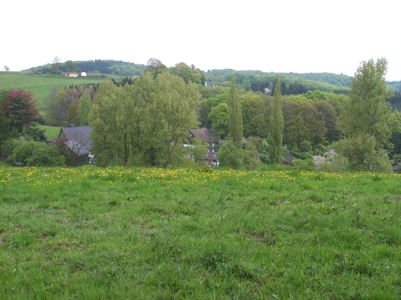 100_8177.jpg