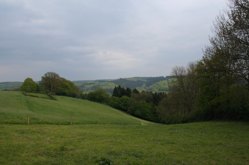 IMG_5708.jpg