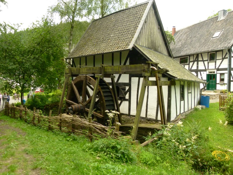 P1010678.jpg